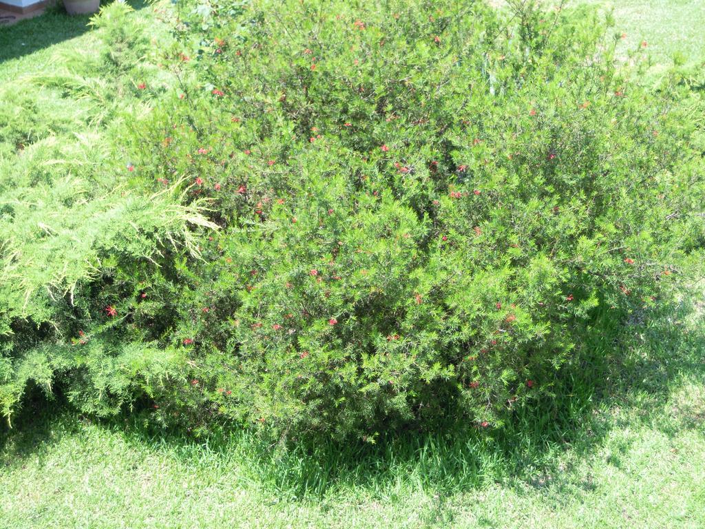 Aegialis Vourvourou